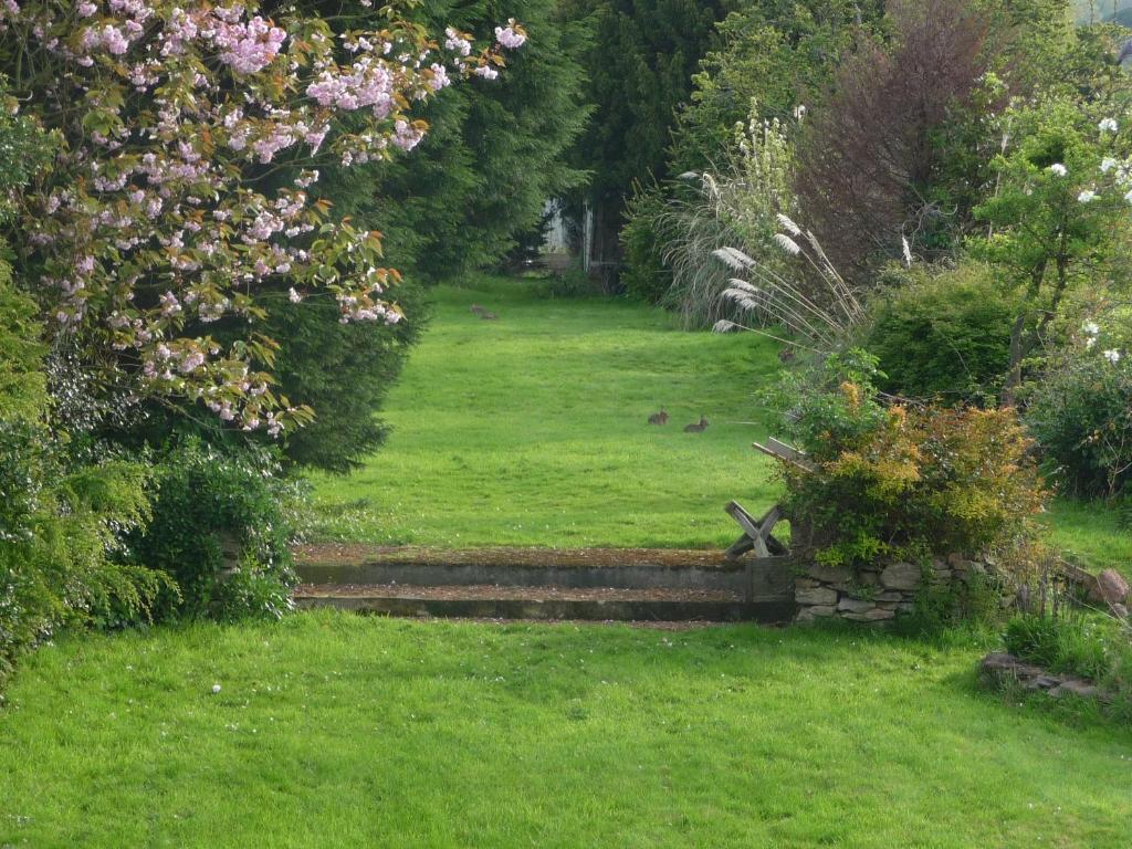 The Station Guest House Galmpton Exterior photo