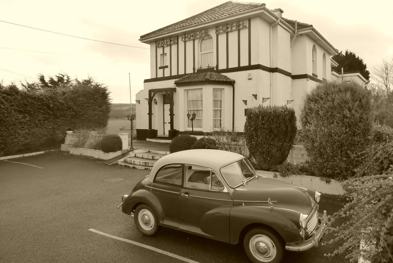 The Station Guest House Galmpton Exterior photo